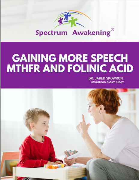 Folinic Acid / MTHFR Speech eBook Folinic Acid / MTHFR Speech eBook