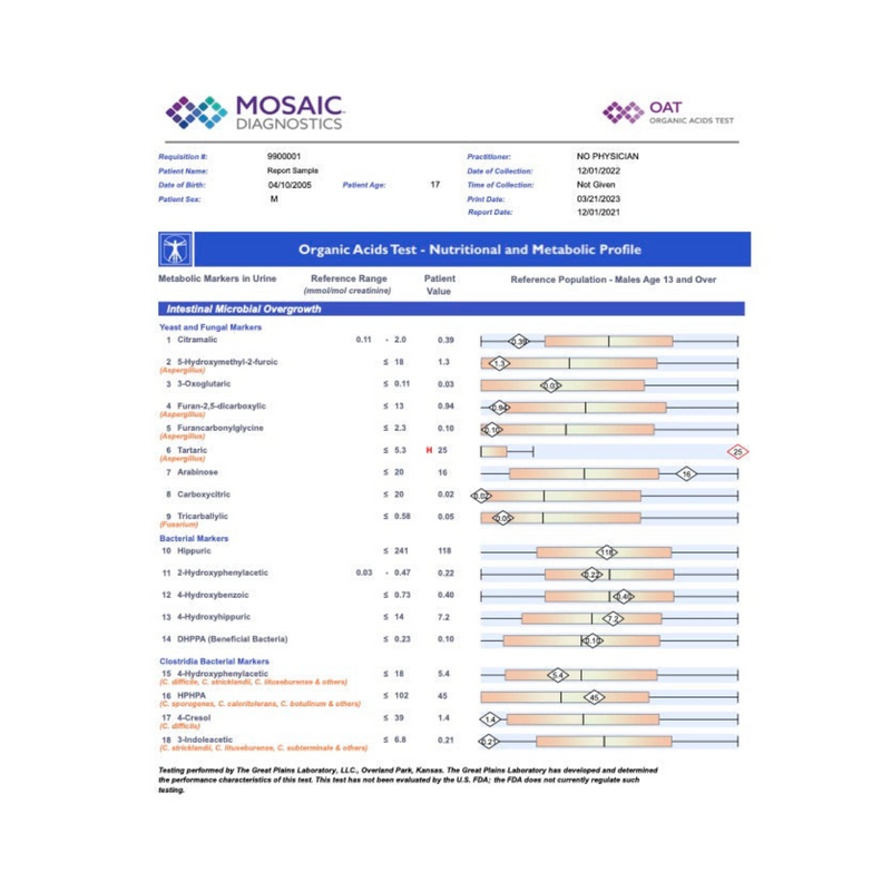 OAT - Organic Acid Test