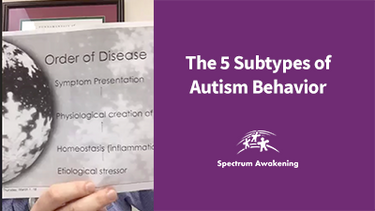 The 5 Subtypes of Autism Behavior: Live Q&A