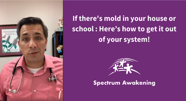 If there's mold in your house or school... Here’s how to get it out of your system!
